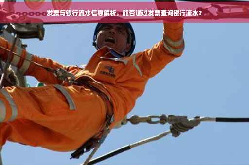 发票与银行流水信息解析，能否通过发票查询银行流水？