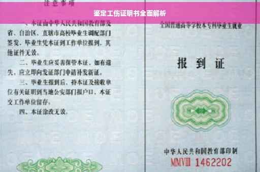 鉴定工伤证明书全面解析