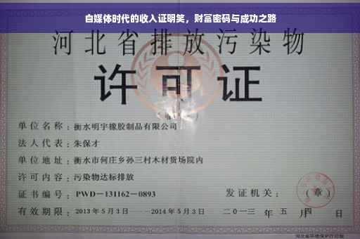 自媒体时代的收入证明笑，财富密码与成功之路