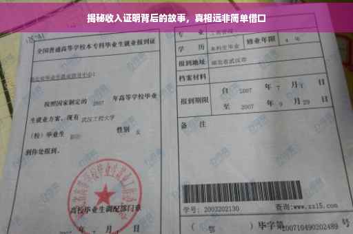 揭秘收入证明背后的故事，真相远非简单借口