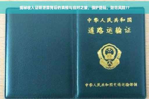 揭秘收入证明泄露背后的真相与应对之策，保护隐私，防范风险??