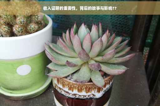 收入证明的重要性，背后的故事与影响??