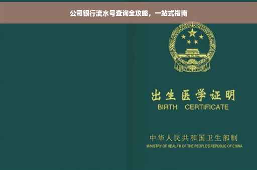 公司银行流水号查询全攻略，一站式指南