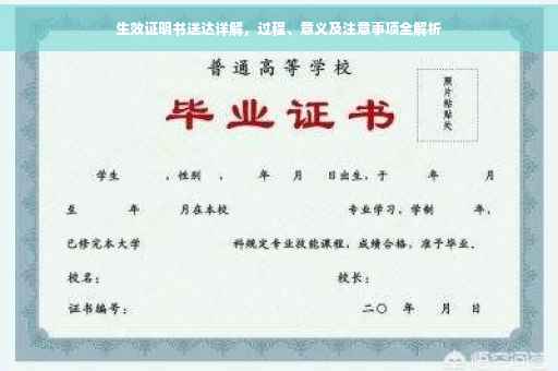 生效证明书送达详解，过程、意义及注意事项全解析