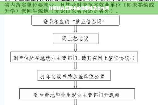 详解结扎证明书的重要性及其作用