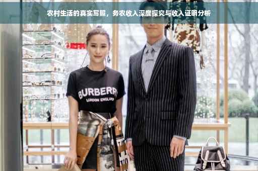 农村生活的真实写照，务农收入深度探究与收入证明分析