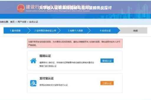 大学收入证明真相揭秘与应对策略挑战探讨