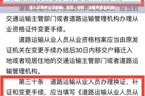 收入证明书公证详解，流程、材料、注意事项全攻略！