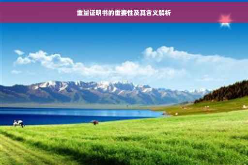 重量证明书的重要性及其含义解析