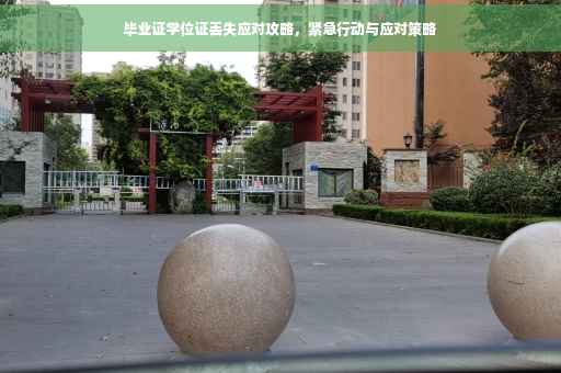 毕业证学位证丢失应对攻略，紧急行动与应对策略
