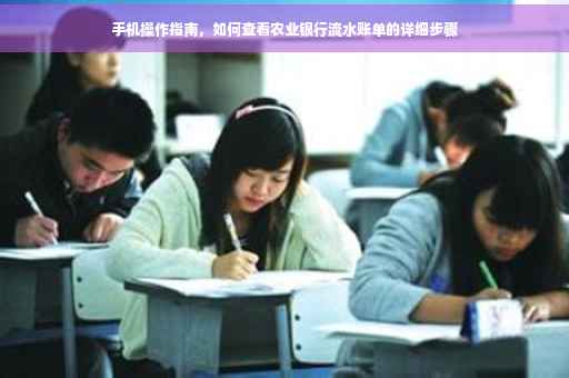 手机操作指南，如何查看农业银行流水账单的详细步骤