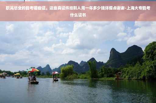 职高毕业的能考哪些证。这些真证件给别人用一年多少钱详细点谢谢-上海大专能考什么证书