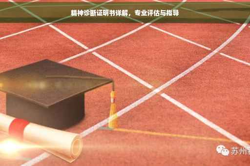精神诊断证明书详解，专业评估与指导