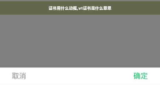 证书用什么边框,vt证书是什么意思
