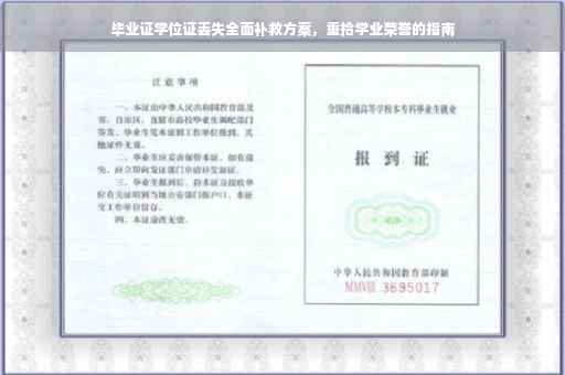毕业证学位证丢失全面补救方案，重拾学业荣誉的指南