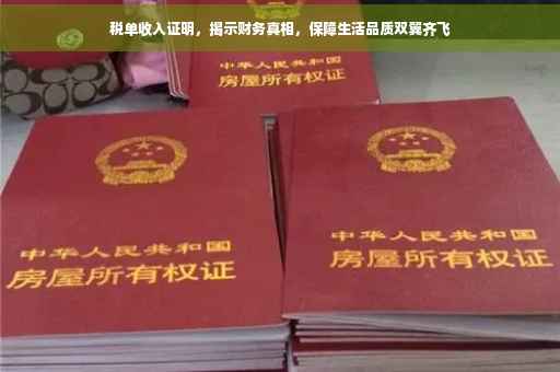 税单收入证明，揭示财务真相，保障生活品质双翼齐飞