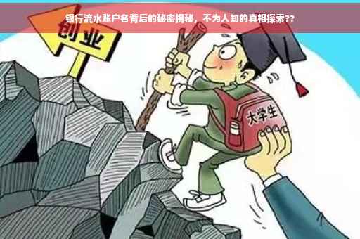 银行流水账户名背后的秘密揭秘，不为人知的真相探索??