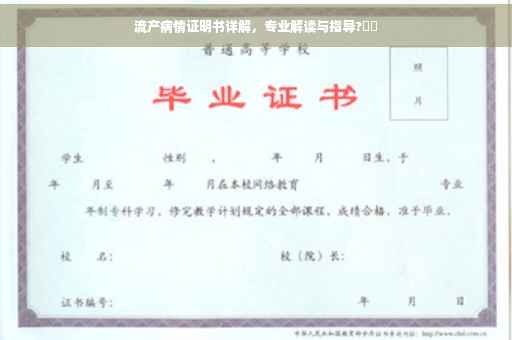 流产病情证明书详解，专业解读与指导?⚡️