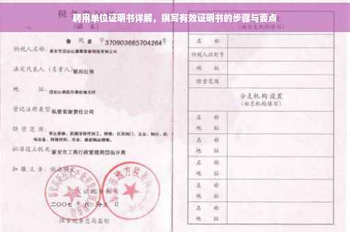 聘用单位证明书详解，撰写有效证明书的步骤与要点