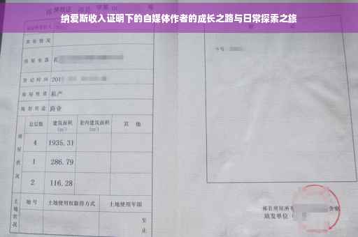 纳爱斯收入证明下的自媒体作者的成长之路与日常探索之旅