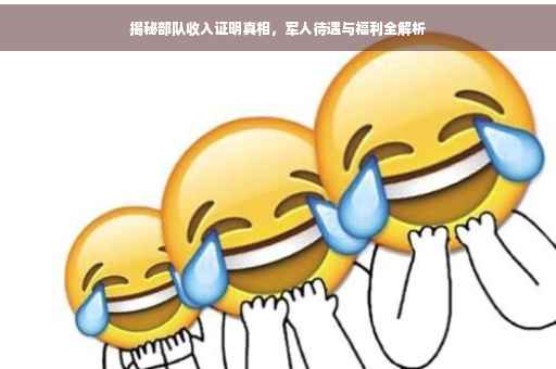 揭秘部队收入证明真相，军人待遇与福利全解析
