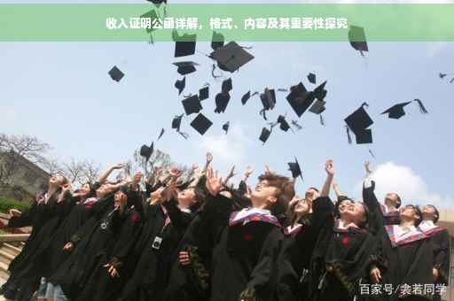 收入证明公函详解，格式、内容及其重要性探究