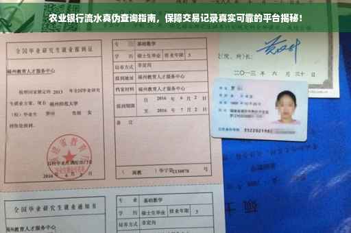 农业银行流水真伪查询指南，保障交易记录真实可靠的平台揭秘！