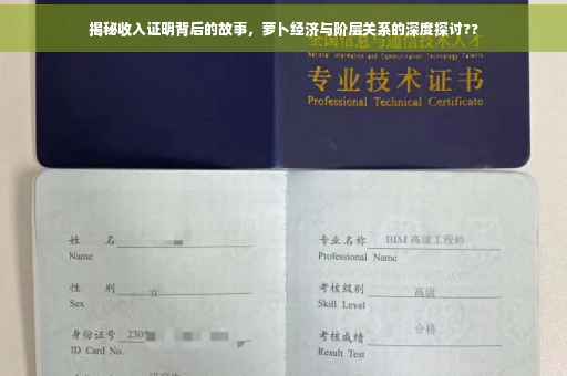 揭秘收入证明背后的故事，萝卜经济与阶层关系的深度探讨??
