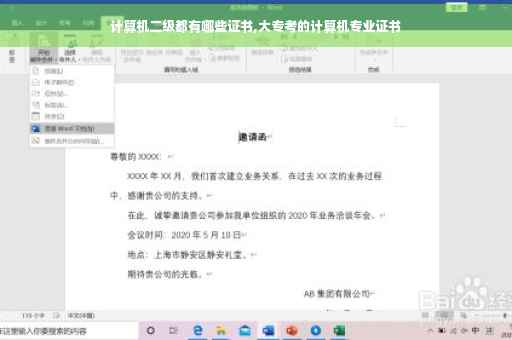 计算机二级都有哪些证书,大专考的计算机专业证书