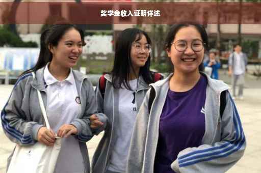 奖学金收入证明详述