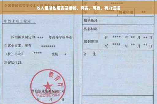 收入证明佐证实录揭秘，真实、可靠、有力证据