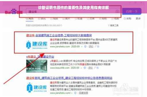 诊断证明书原件的重要性及其使用指南详解