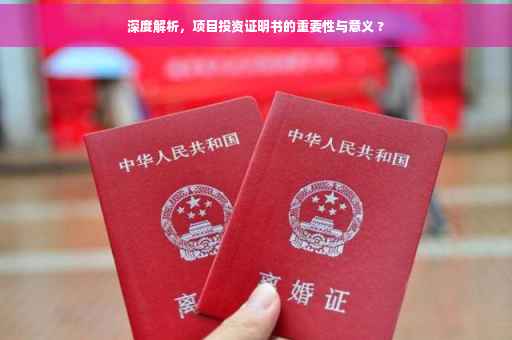 深度解析，项目投资证明书的重要性与意义 ?