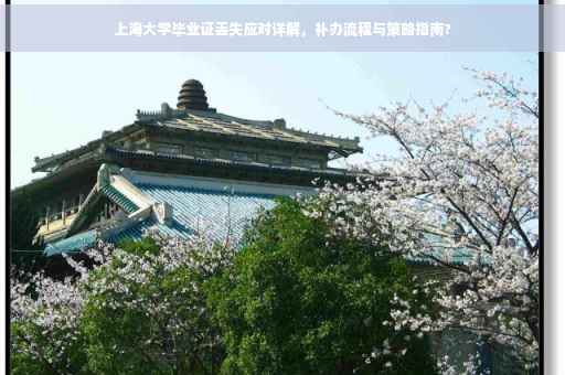 上海大学毕业证丢失应对详解，补办流程与策略指南?