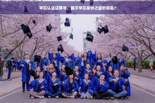 学历认证证明书，揭示学历身份之谜的钥匙?