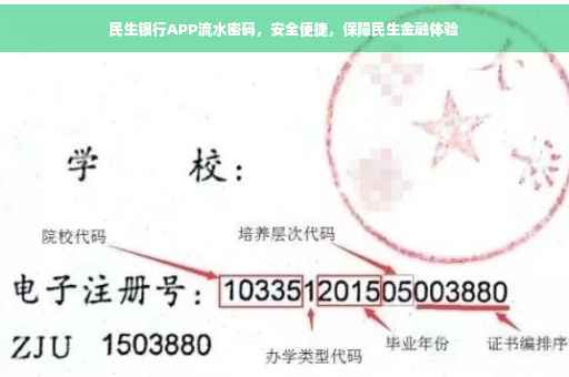 民生银行APP流水密码，安全便捷，保障民生金融体验
