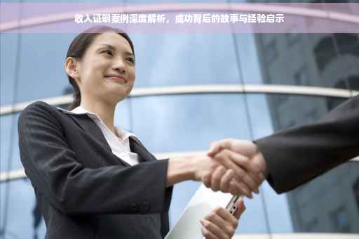 收入证明案例深度解析，成功背后的故事与经验启示