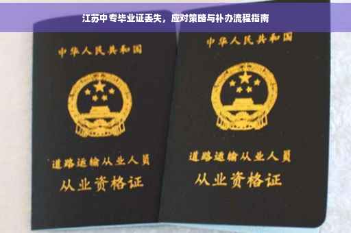 江苏中专毕业证丢失，应对策略与补办流程指南