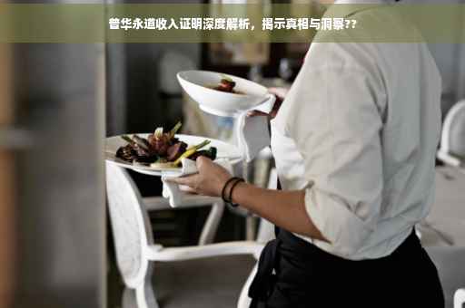 普华永道收入证明深度解析，揭示真相与洞察??