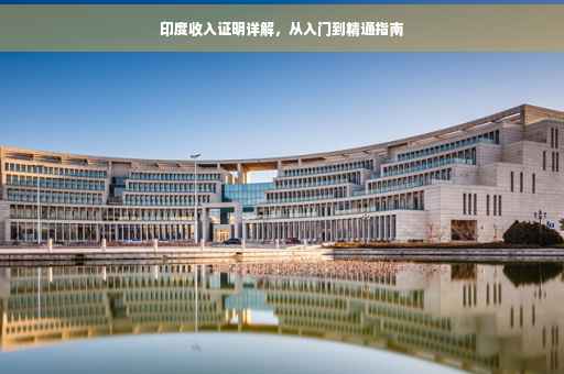 印度收入证明详解，从入门到精通指南