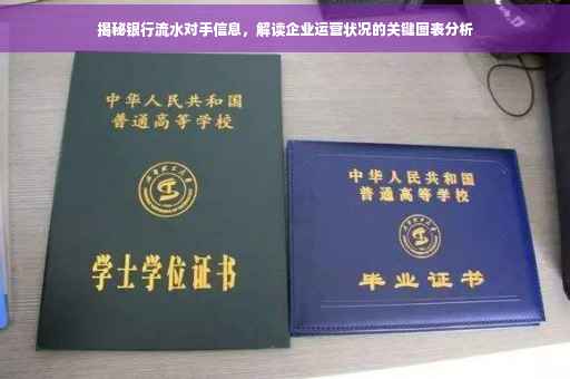 揭秘银行流水对手信息，解读企业运营状况的关键图表分析