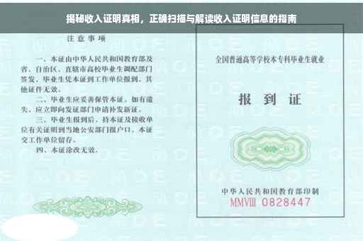 揭秘收入证明真相，正确扫描与解读收入证明信息的指南