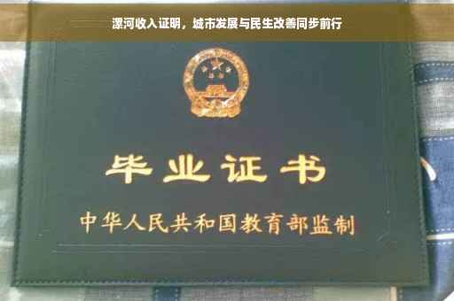 漯河收入证明，城市发展与民生改善同步前行