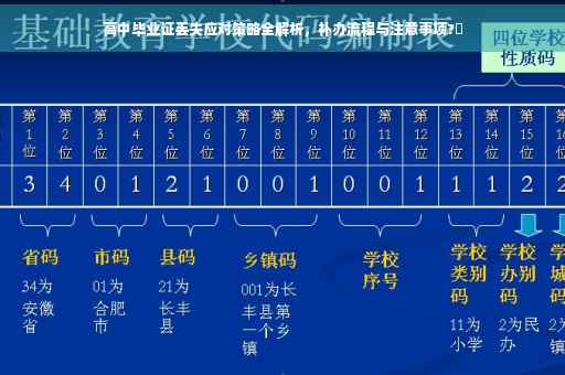 高中毕业证丢失应对策略全解析，补办流程与注意事项?✨