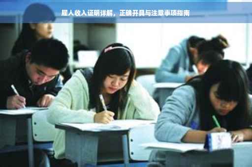 雇人收入证明详解，正确开具与注意事项指南