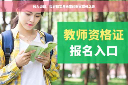 收入证明，探寻现实与未来的财富增长之路