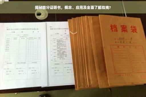 揭秘精分证明书，概念、应用及全面了解指南?