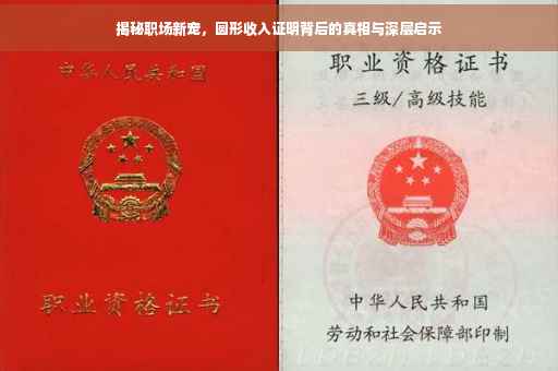 揭秘职场新宠，圆形收入证明背后的真相与深层启示