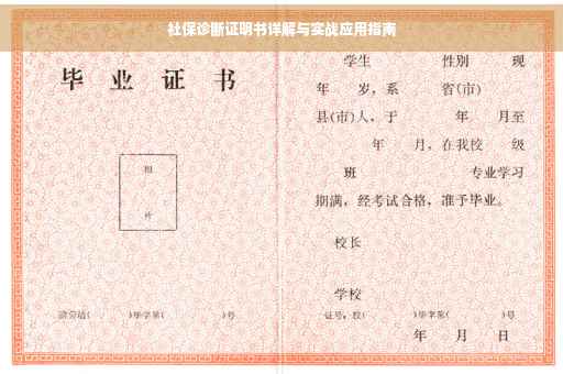社保诊断证明书详解与实战应用指南