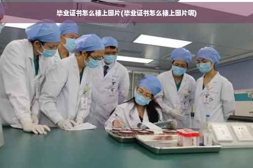 毕业证书怎么裱上图片(毕业证书怎么裱上图片呢)